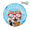 Cool Cat Birthday Ballon (mit Helium gefüllt)
