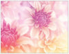 Flowers - greeting card