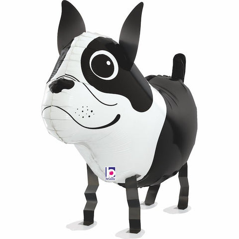 Hund Boston Terrier Air Walker (mit Helium gefüllt)